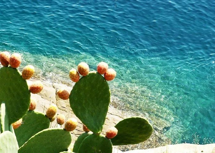 מלון דירות Allegroitalia Elba Golf